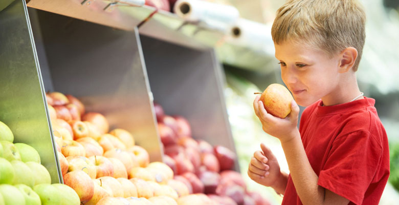 Servicios Nutricionales a Colectivos Escolares