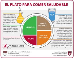 Plato comer saludable Harvard